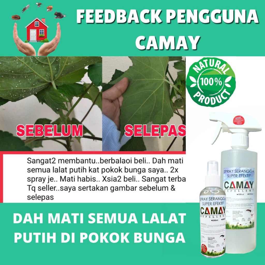 Camay Spray Serangga Organik Ml Racun Semut Berkesan Tanaman Lalat