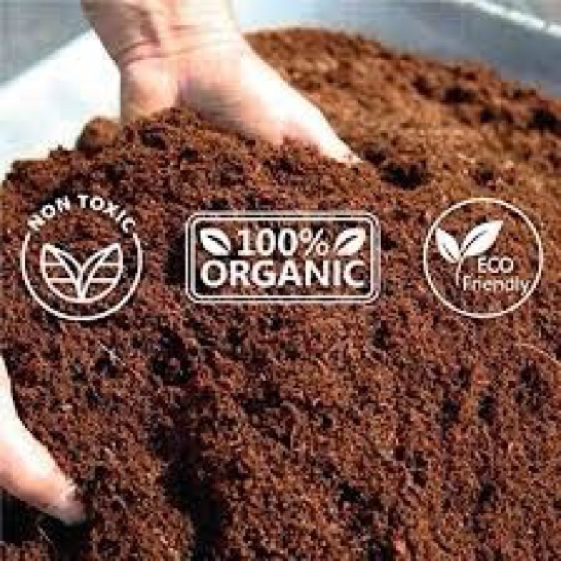 BIG SALES Direct Factory 400G Grade A Dry Cocopeat Organic Natural