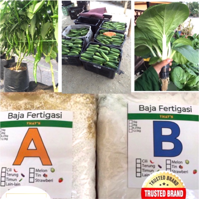 Set Baja AB 4Kg 40L Fertigasi Hydroponic Sayur Daun Hidroponik