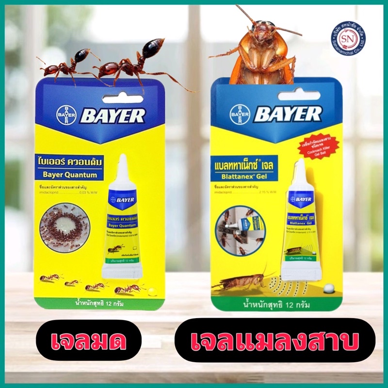 Bayer Blattanex Gel Cockroach Killer Bier 12 G Shopee Malaysia