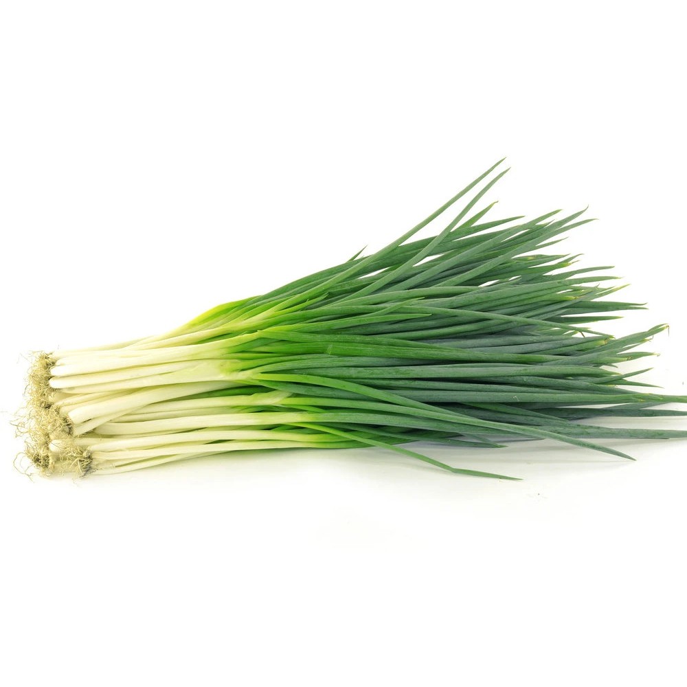 Biji Benih Daun Bawang Spring Onion Seeds Shopee Malaysia