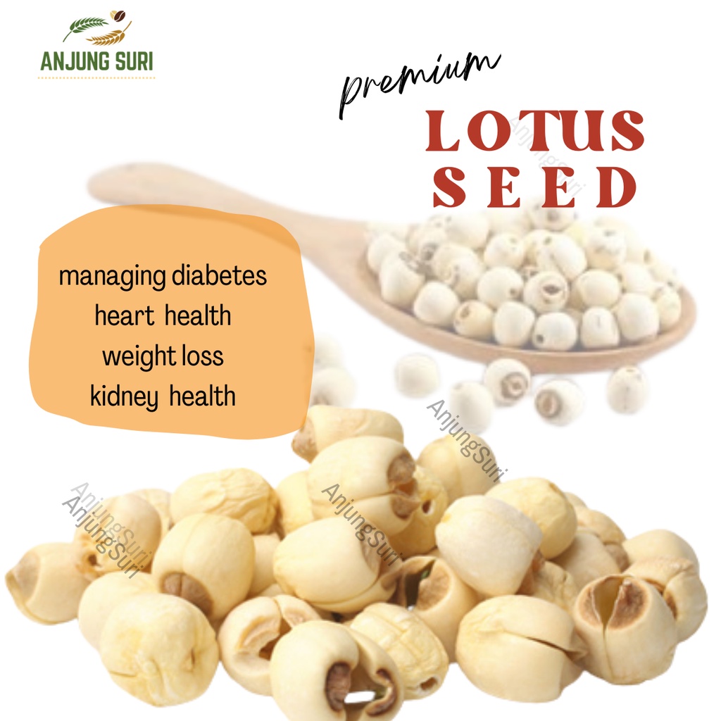 Premium White Lotus Seed Dried Biji Teratai Kering Makhana Bai Lian