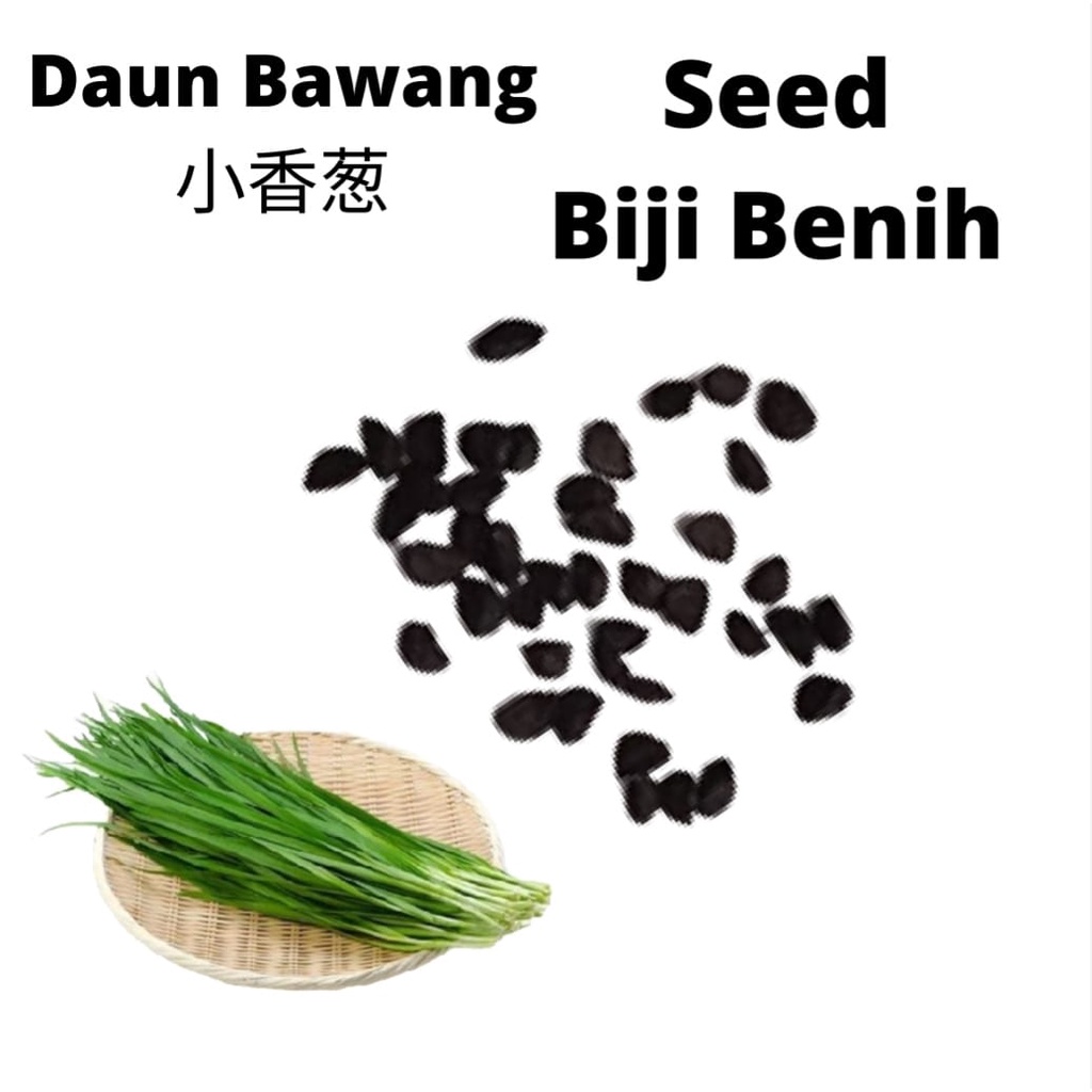 Daun Bawang Organic Onion Leaf Biji Benih Vege Sayur Sayuran