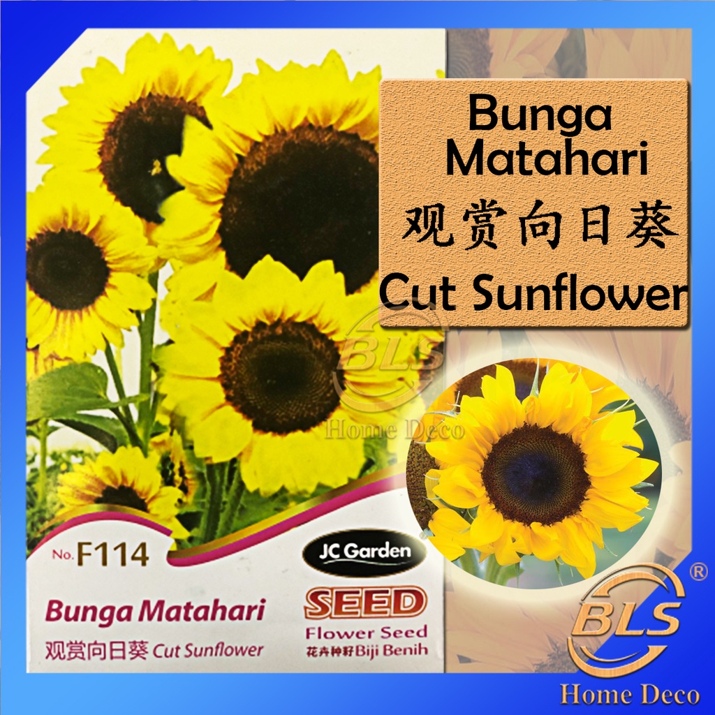 F Cut Sunflower Jc Garden Flower Seed Biji Benih Bunga Matahari