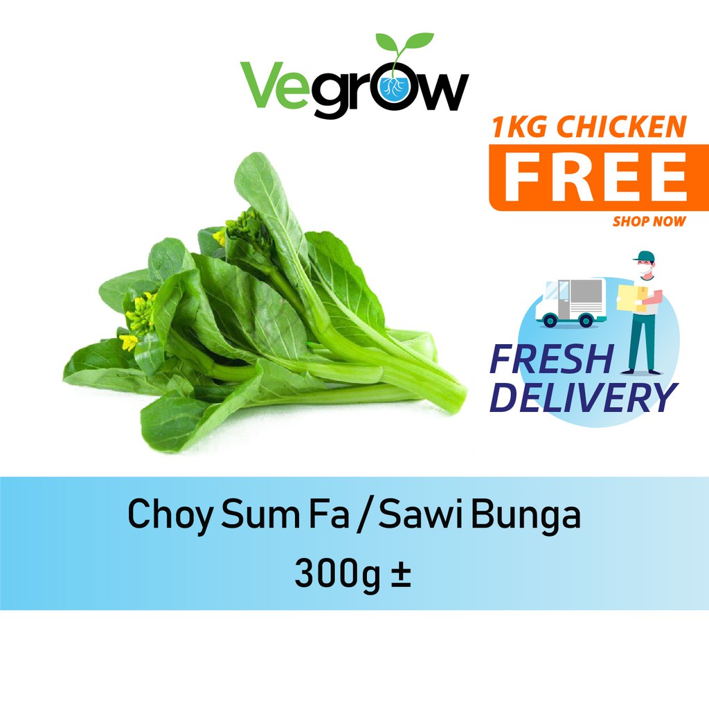 Fresh Choy Sum Fa Sawi Bunga G Shopee Malaysia