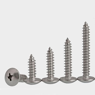 Stainless Steel Large Flat Head Self Tapping Screw Mushroom Head