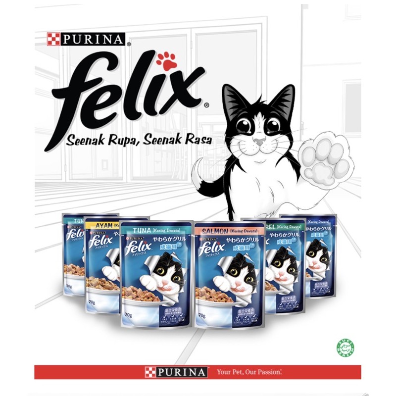 Purina Felix Wet Pouch Cat Food 12 X 70g Adult Kitten Shopee