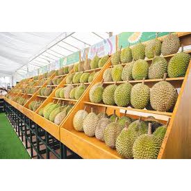 Fresh Durian Kampung Pokok D Musang King Ulas Frozen Sejuk Beku