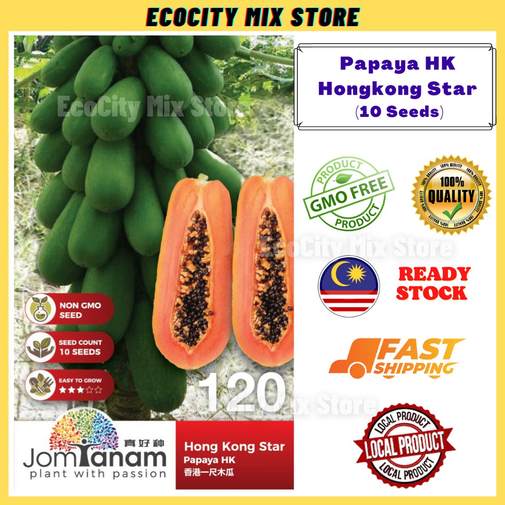 Papaya HK Hongkong Star 10 Seeds Benih Betik Hong Kong 香港木瓜 Jom Tanam