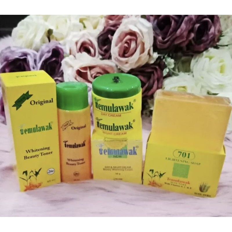 Orignal 5in1 Temulawak Set Day Night Cream Sabun Toner Shopee Malaysia