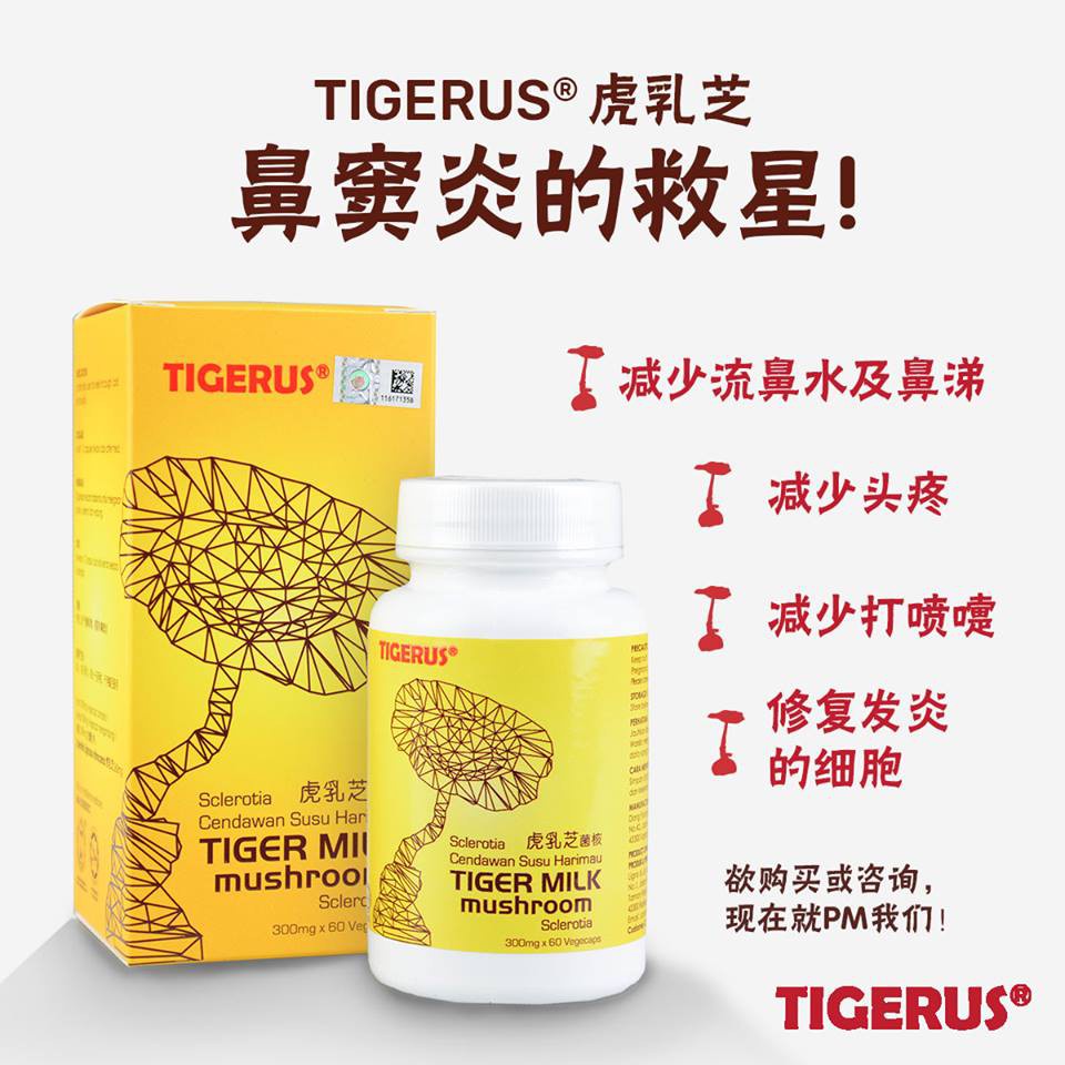 Tigerus Tiger Milk Mushroom Mg X Vegecaps Shopee Malaysia