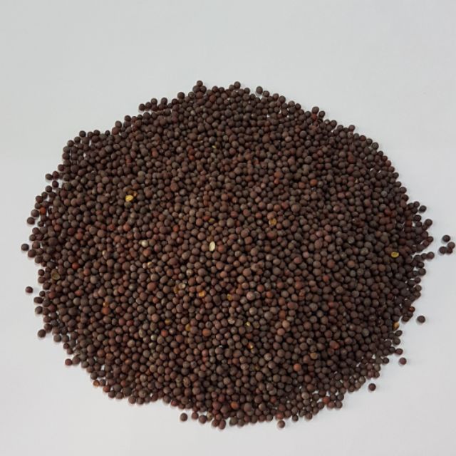 Mustard Seed Biji Sawi 500g 1kg Shopee Malaysia