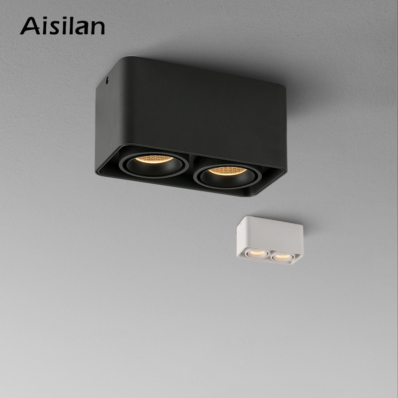 Aisilan Led Spotlight Double Head Downlight Anti Glare Indoor Main