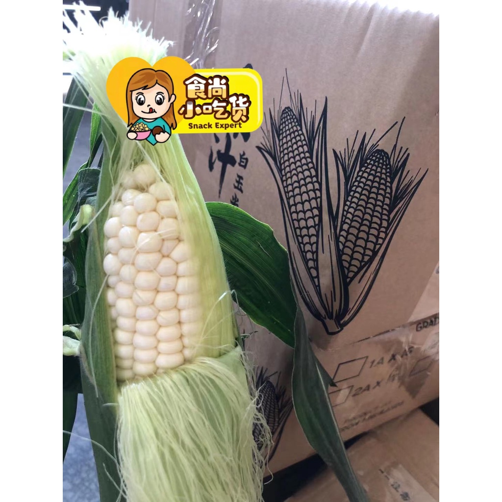 2A 6 PCS Set White Sweet Corn Jagung Susu Manis Cameron