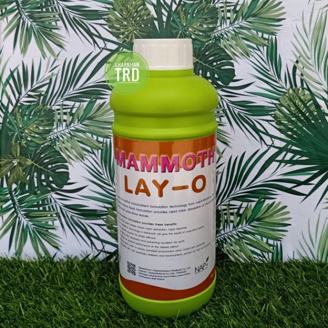 Botol Liter Mammoth Lay O Napnutriscience Thailand Baja Foliar Brown