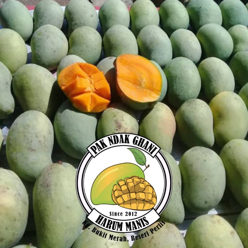 Harumanis Buah Original Perlis Mangga Harum Manis Shopee Malaysia