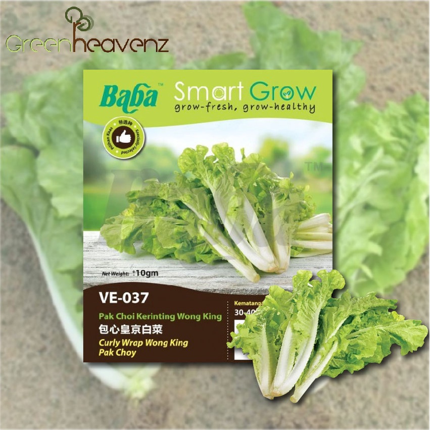 Ghz Baba Smart Grow Seeds Ve Curly Wrap Wong King Pak Choy