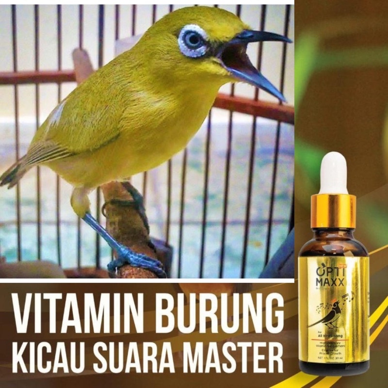 Burung Mata Putih Vitamin Burung Bird Supplements Shopee Malaysia