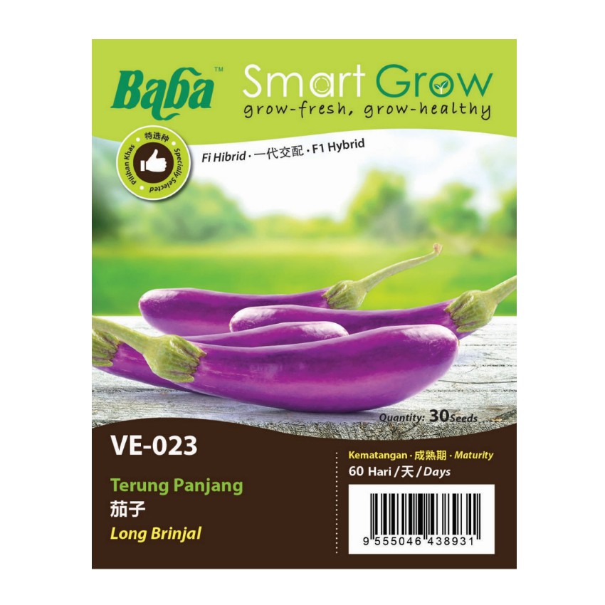 Biji Benih Baba Ve Smart Grow Vegetable Seed Hybrid Long Brinjal