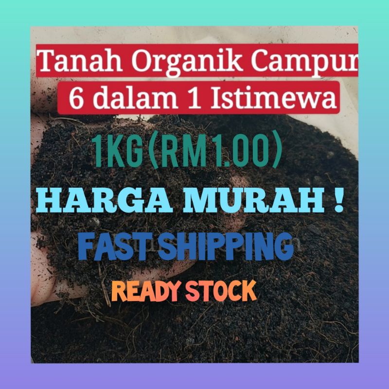 Tanah Hitam Organik In Top Soil Sekam Bakar Coco Peat Tanah