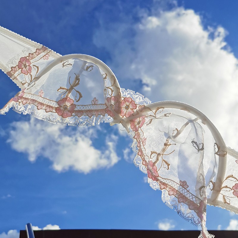 Summer New Unlined See Through Sexy Lace Transparent Lingerie Plus Size C D Cup Underwire