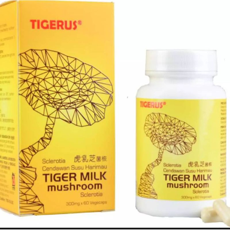 Tigerus Tiger Milk Mushroom Sclerotia Mg X S Exp