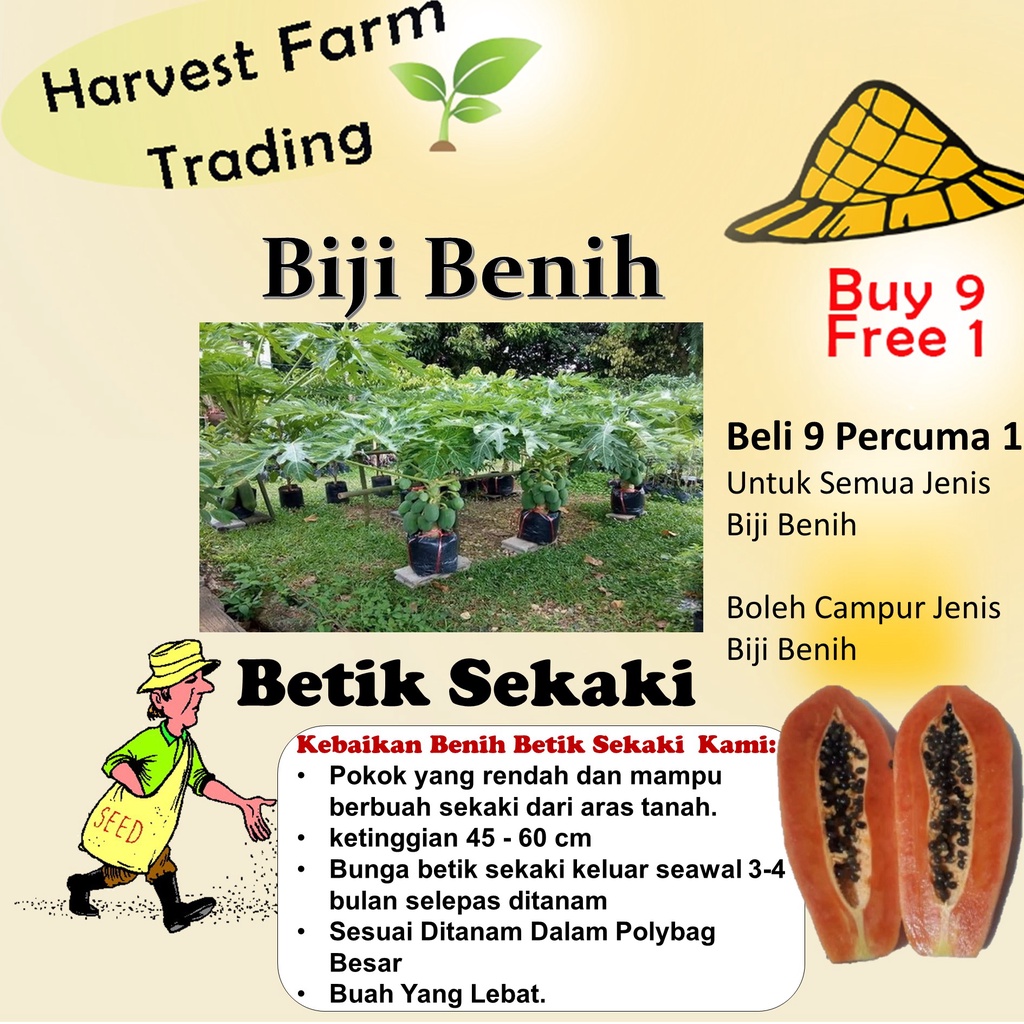 Biji Benih Betik Sekaki Pcs Carica Papaya Seed Benih Betik Hong Kong