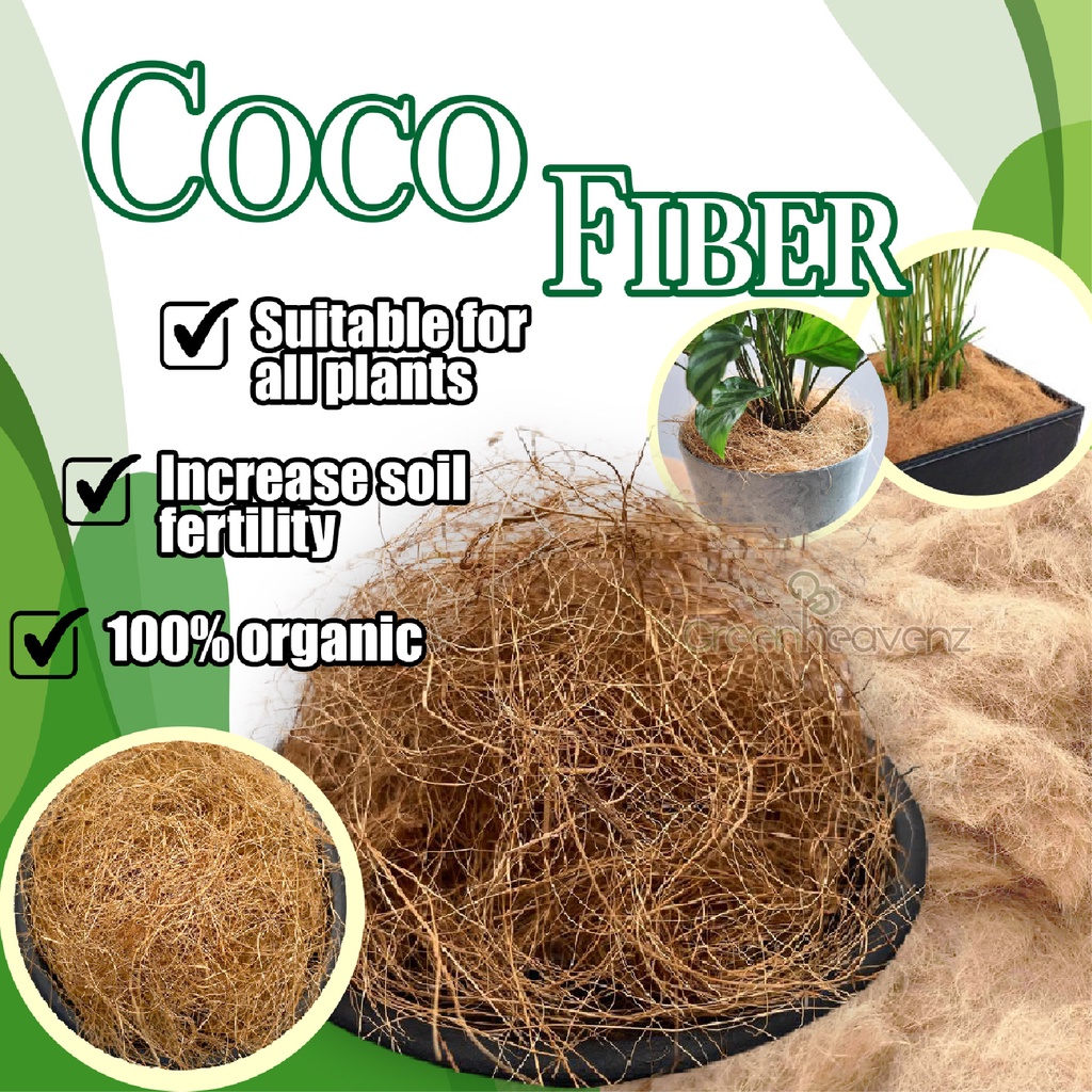 GHZ Coco Fiber Serat Coconut Fiber Cocofiber Coco Fibre Sabut Kelapa