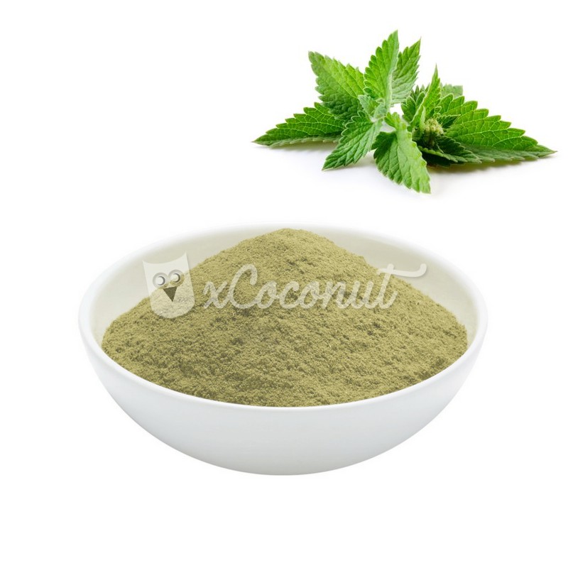 Mint Leaf And Mint Leaf Powder G Daun Pudina Serbuk Daun Pudina Teh