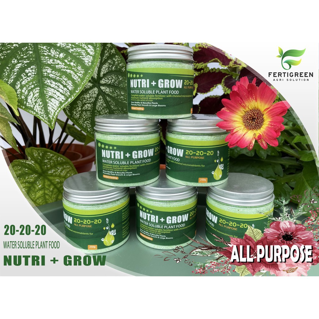 250g NUTRI GROW BAJA AIR UNTUK BUNGA BUAH SAYUR DAN DAUN BAJA