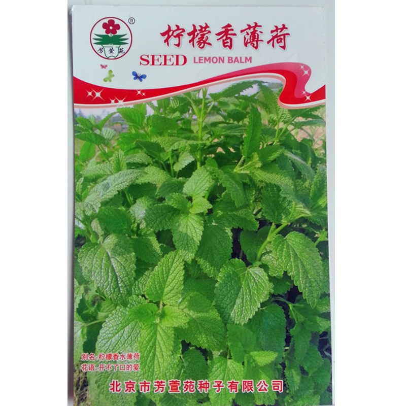 Mint Seeds Pelbagai Biji Benih Pudina Spear Mint Herbs Seeds Spearmint