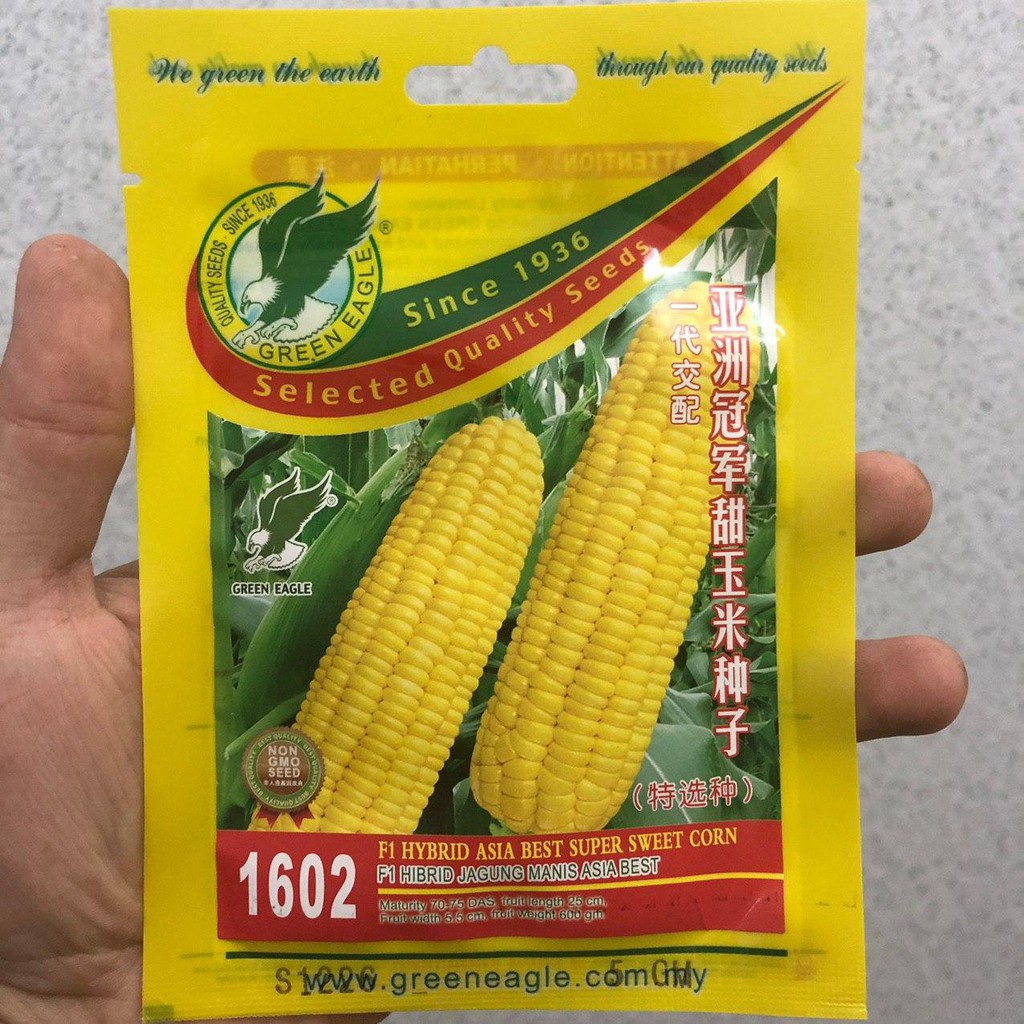 Benih Jagung Manis Sweet Corn Asia Best Hibrid F Green Eagle Gm