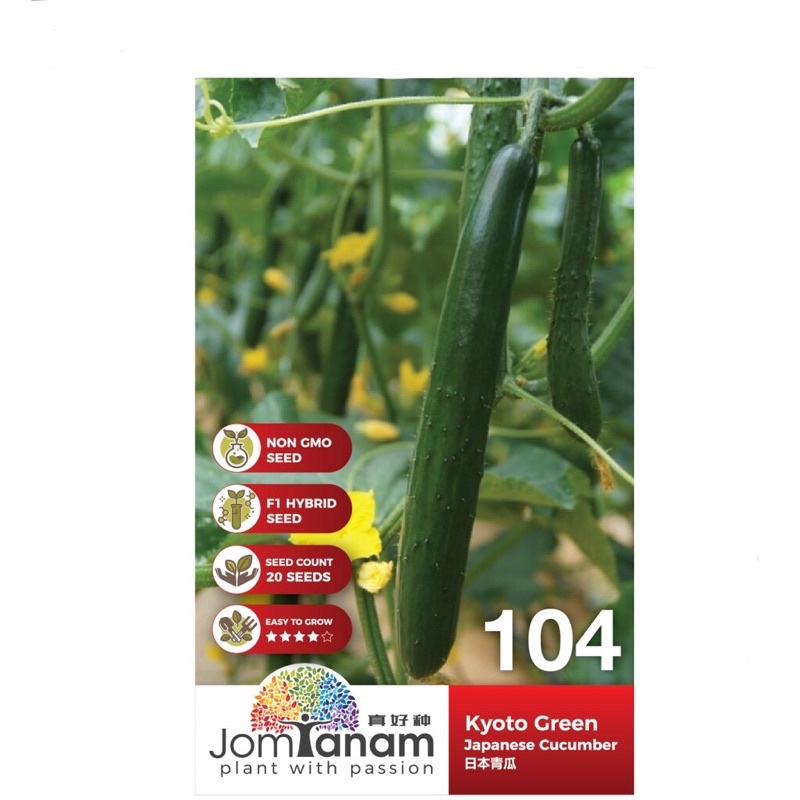 Big Sales Cucumber Japanese Kyoto Green Sds Jom Tanam By