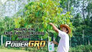 Best Seller PowerGro Microb PG 4 Litre Baja Foliar Semburan 100