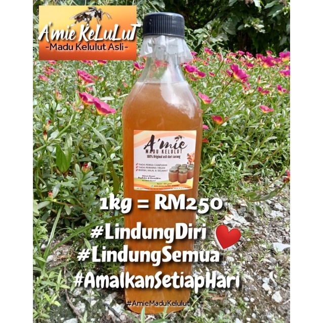 Madu Kelulut Asli 1 Kg Shopee Malaysia