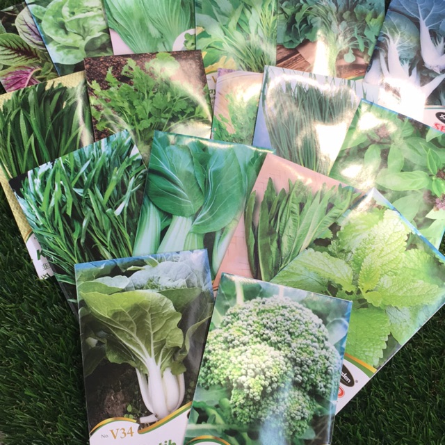 JC Garden Seed Vegetables Seeds Shopee Malaysia