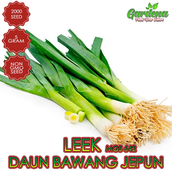 Premium Seed Biji Benih Daun Bawang Biji Benih Tahan Penyakit