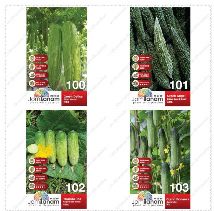 A Jom Tanam Biji Benih Vegetable F1 Hybrid Seed Sayur Timun Cucumber