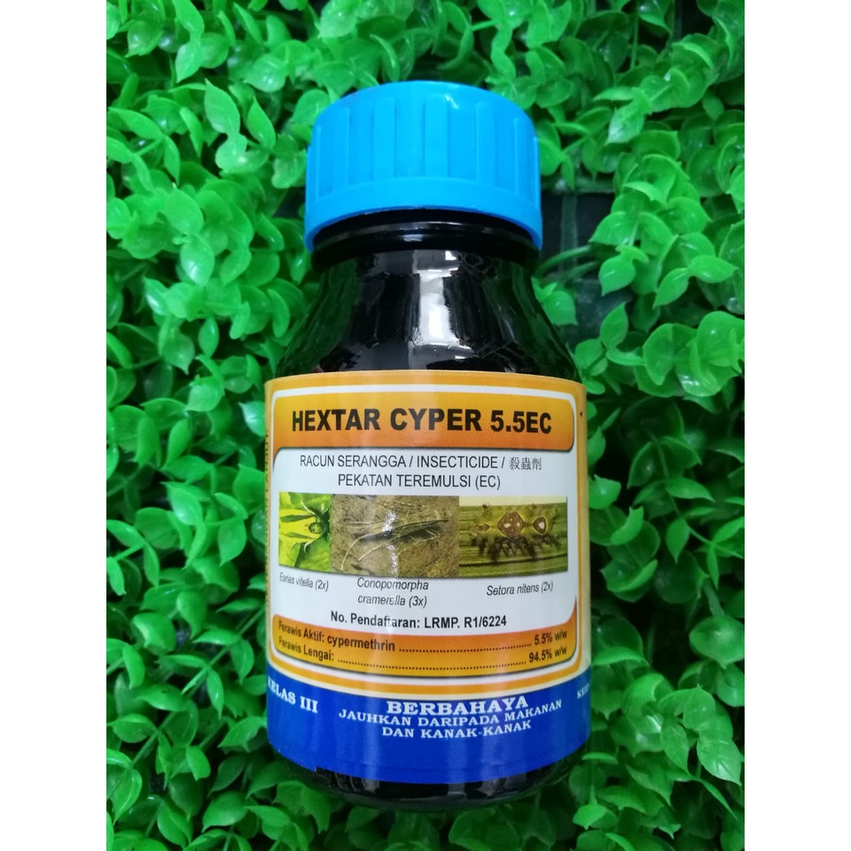 Racun Serangga Grade AAA Insecticide 杀虫剂 250ML HEXTAR CYPER 5 5EC