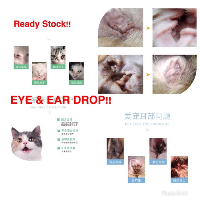 Ear Drop Eye Drop For Cat Ubat Titis Telinga Mata Kucing Ml