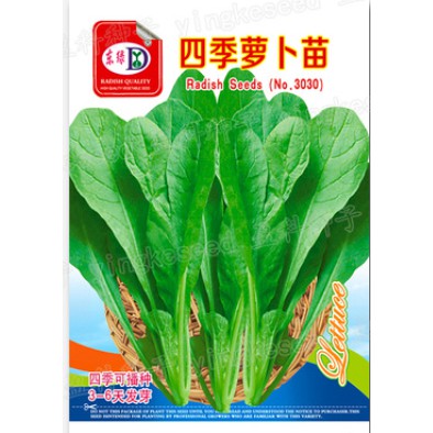 30 Pilihan Biji Benih Sayur Low Land Seeds Garden Pasu Potted Tanam