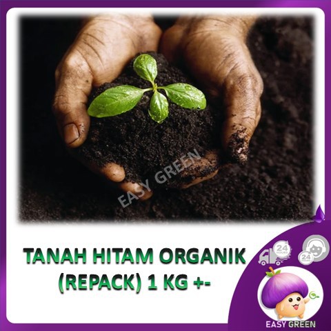 Offer Murah Tanah Hitam Kg L In Organic Black Organik Soil