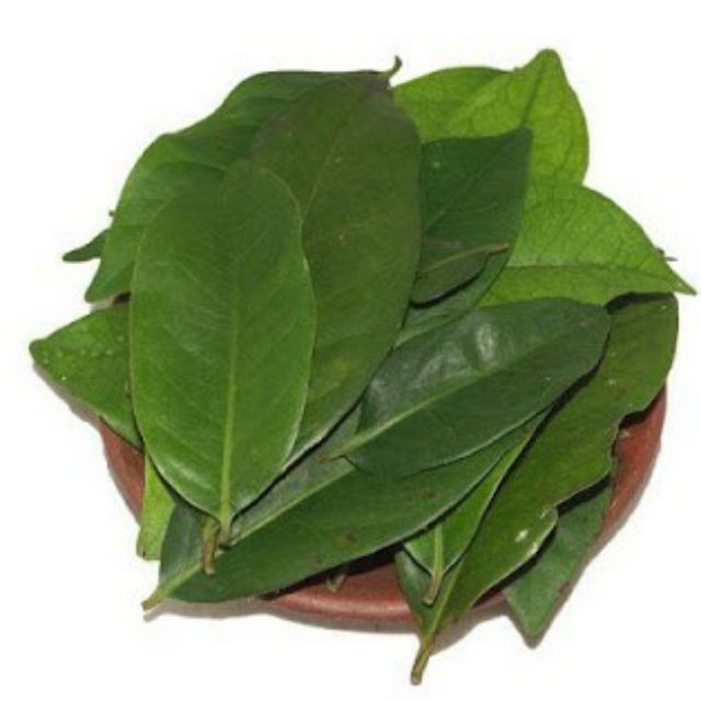 Daun Salam Bay Leaves Gram Shopee Malaysia