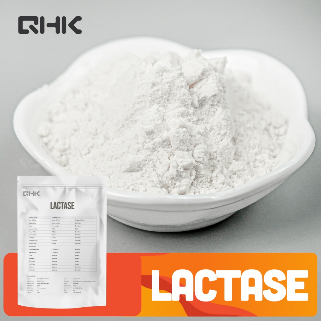 Factory Wholesale Bulk Top Quality Food Grade Lactase Shopee Malaysia