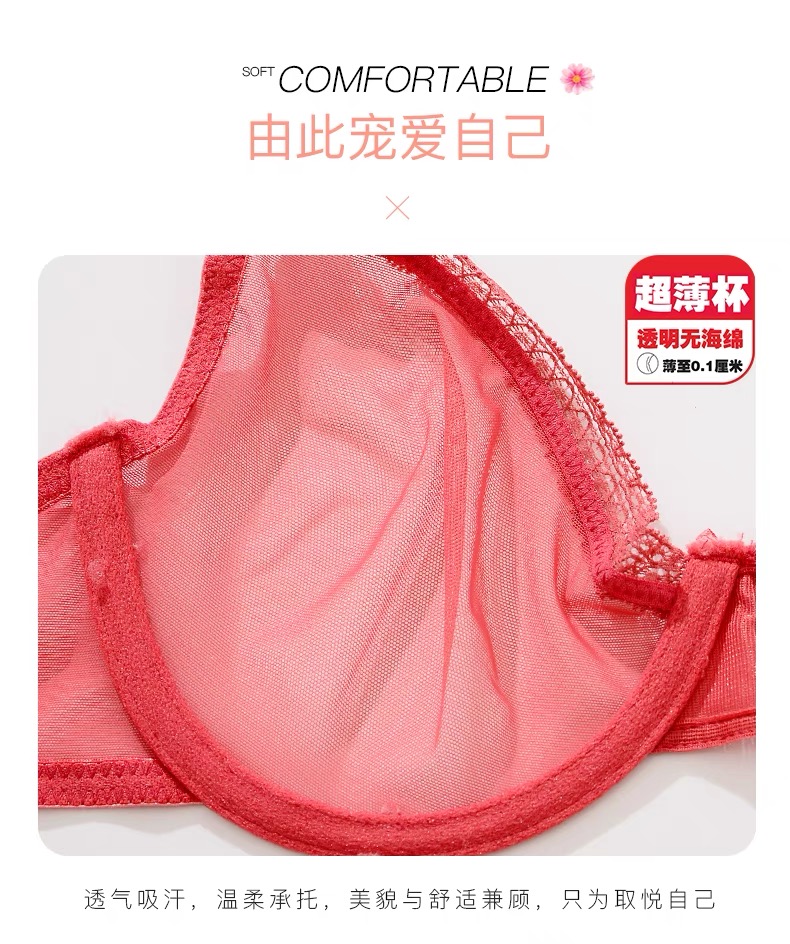 Transparent Mesh Sexy Women S Lingerie Ultra Thin Models Bra Gathered
