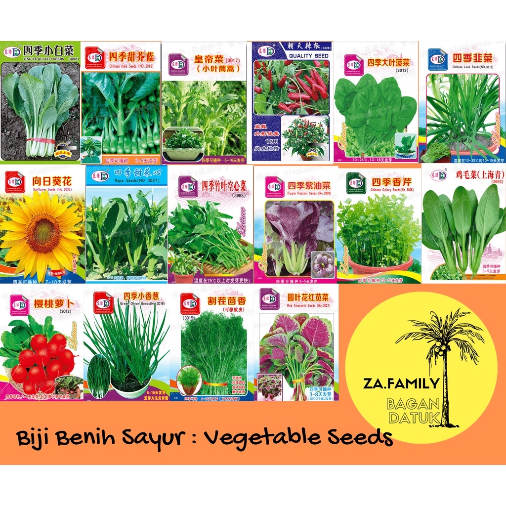 Ready Stock Biji Benih Sayur Vegetable Seeds Sunflower Garden