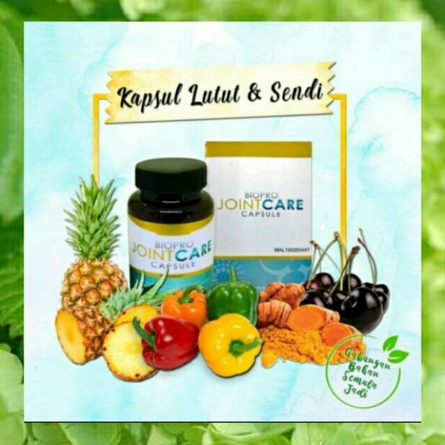 Biopro Joint Care Original Rawat Sendi Dan Lutut Shopee Malaysia