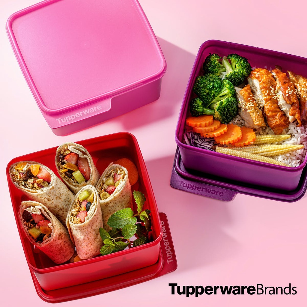 Tupperware Lunch Box Snack Stack Basic Line 500ml 1 2L 5L 1 Pcs