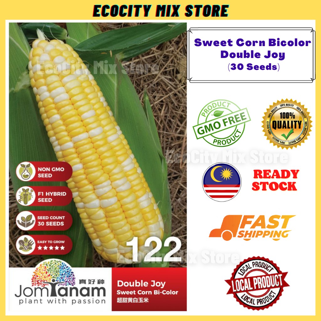 Sweet Corn Bicolor Double Joy Seeds Benih Jagung Manis Jagung