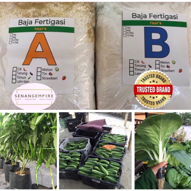 Set Baja Ab Kg L Fertigasi Hydroponic Sayur Daun Hidroponik